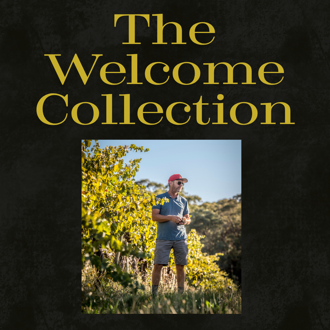 The Welcome Collection